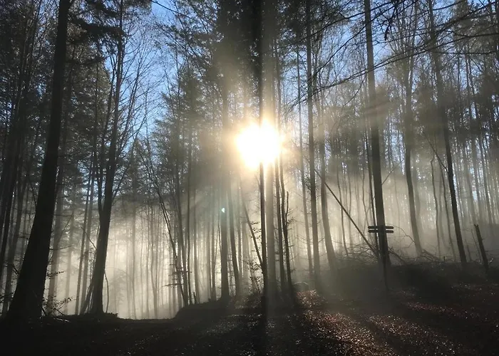 アパート Pfalzglueck