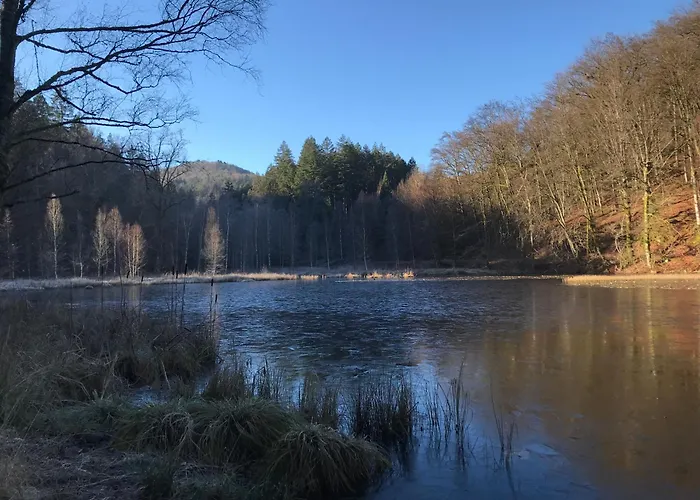 Pfalzglueck * Дан